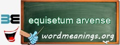 WordMeaning blackboard for equisetum arvense